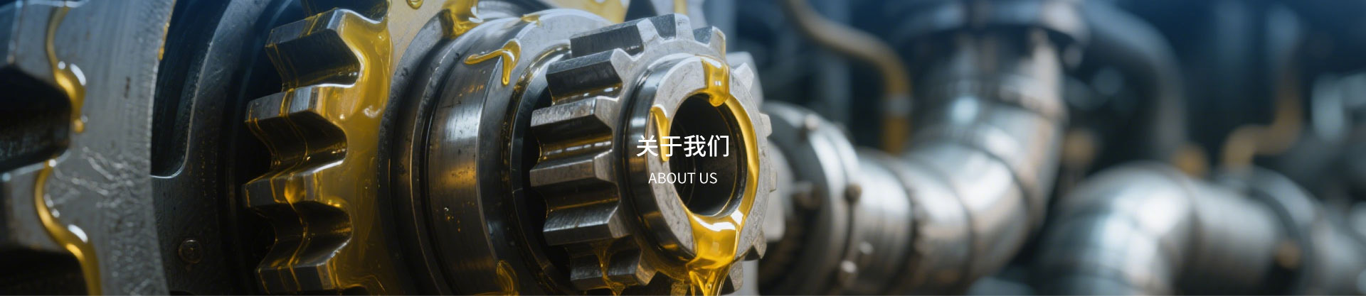 资质荣誉